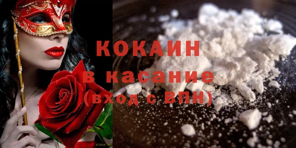 стаф Алзамай