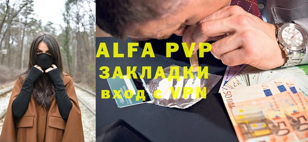стаф Алзамай