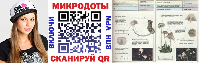Псилоцибиновые грибы Psilocybine cubensis  KRAKEN онион  Чебоксары  магазин продажи  